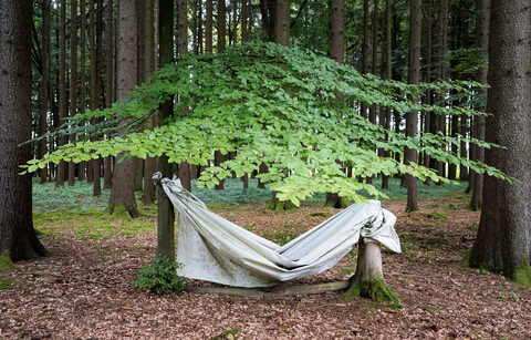 Ulrike Bernhardt - In the Woods